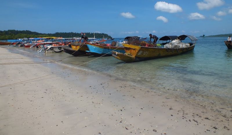 Elephant beach