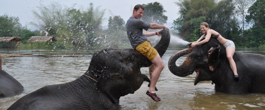 Swimming with Elephants